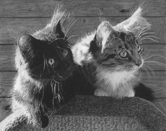 "Friends"
